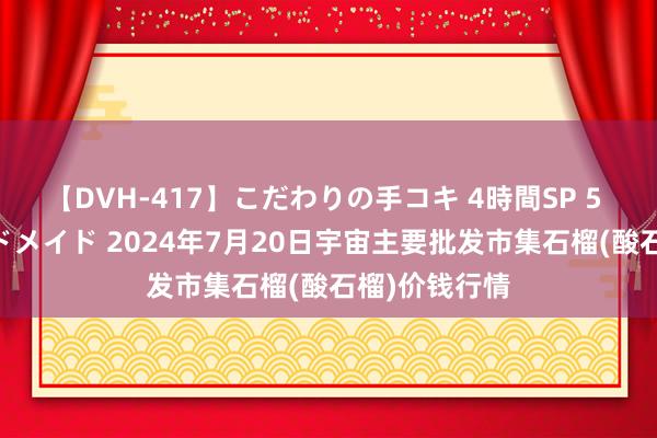 【DVH-417】こだわりの手コキ 4時間SP 5 30人のハンドメイド 2024年7月20日宇宙主要批发市集石榴(酸石榴)价钱行情