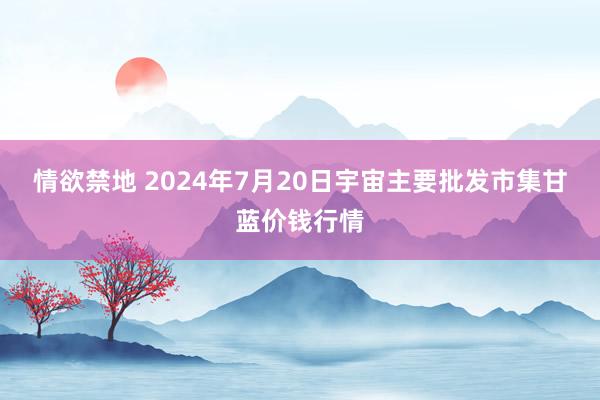 情欲禁地 2024年7月20日宇宙主要批发市集甘蓝价钱行情