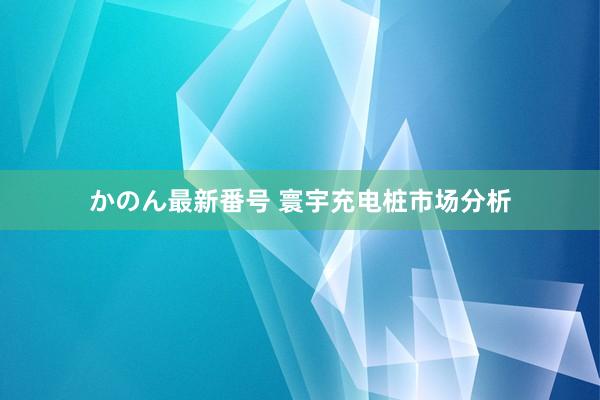 かのん最新番号 寰宇充电桩市场分析