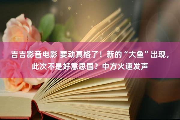 吉吉影音电影 要动真格了！新的“大鱼”出现，此次不是好意思国？中方火速发声