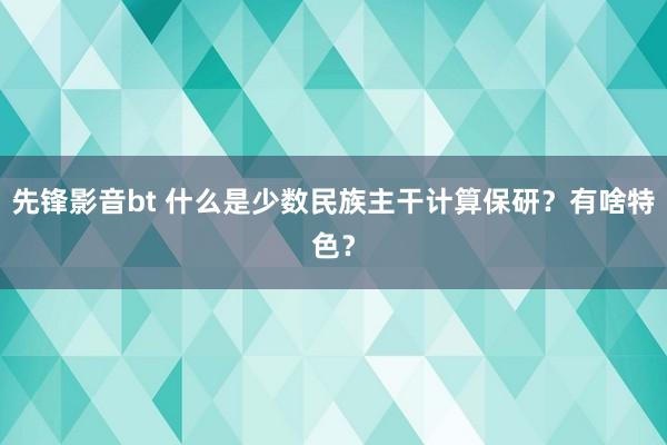 先锋影音bt 什么是少数民族主干计算保研？有啥特色？