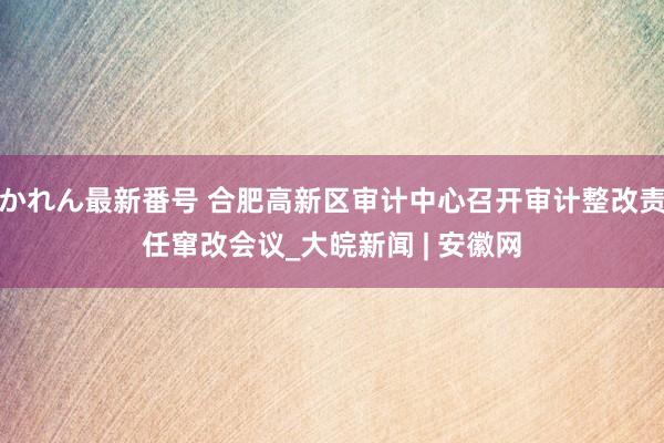 かれん最新番号 合肥高新区审计中心召开审计整改责任窜改会议_大皖新闻 | 安徽网