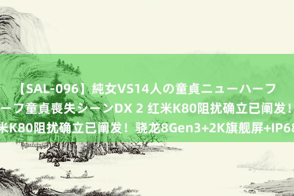 【SAL-096】純女VS14人の童貞ニューハーフ 二度と見れないニューハーフ童貞喪失シーンDX 2 红米K80阻扰确立已阐发！骁龙8Gen3+2K旗舰屏+IP68