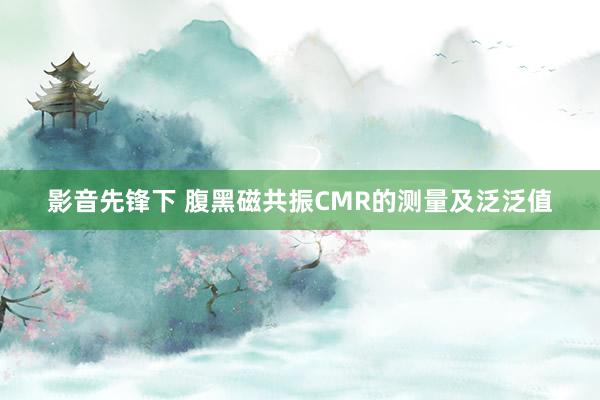 影音先锋下 腹黑磁共振CMR的测量及泛泛值