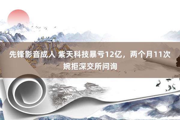 先锋影音成人 紫天科技暴亏12亿，两个月11次婉拒深交所问询