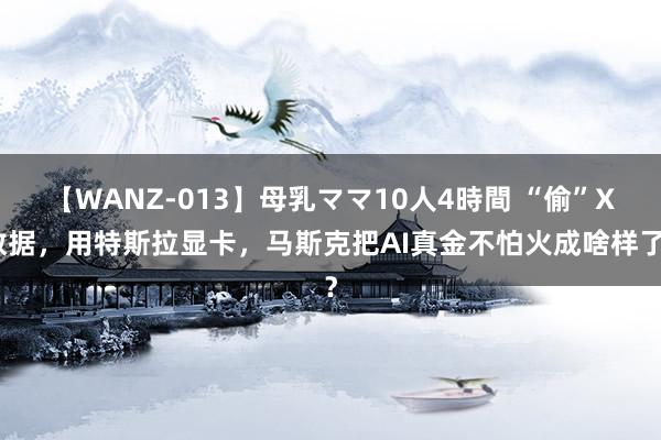 【WANZ-013】母乳ママ10人4時間 “偷”X数据，用特斯拉显卡，马斯克把AI真金不怕火成啥样了？