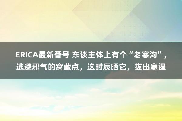 ERICA最新番号 东谈主体上有个“老寒沟”，逃避邪气的窝藏点，这时辰晒它，拔出寒湿