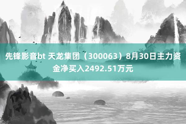 先锋影音bt 天龙集团（300063）8月30日主力资金净买入2492.51万元