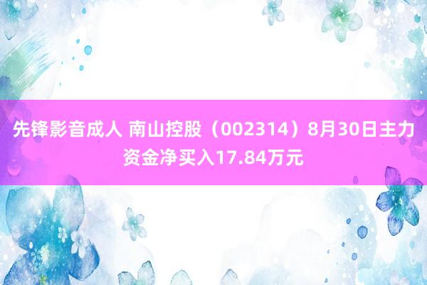 先锋影音成人 南山控股（002314）8月30日主力资金净买入17.84万元