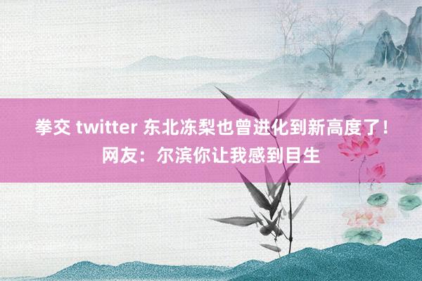 拳交 twitter 东北冻梨也曾进化到新高度了！网友：尔滨你让我感到目生