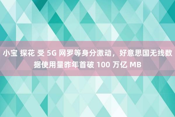 小宝 探花 受 5G 网罗等身分激动，好意思国无线数据使用量昨年首破 100 万亿 MB