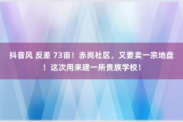 抖音风 反差 73亩！赤岗社区，又要卖一宗地盘！这次用来建一所贵族学校！