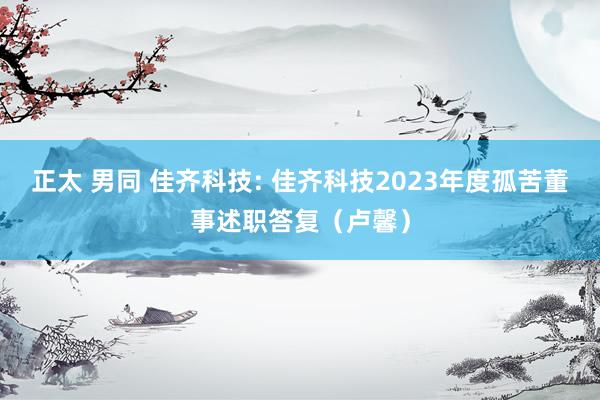 正太 男同 佳齐科技: 佳齐科技2023年度孤苦董事述职答复（卢馨）