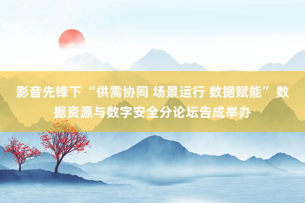 影音先锋下 “供需协同 场景运行 数据赋能” 数据资源与数字安全分论坛告成举办