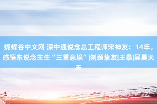 蝴蝶谷中文网 深中通说念总工程师宋神友：14年，感悟东说念主生“三重意境”|刎颈挚友|王攀|吴昊天