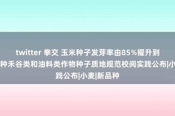 twitter 拳交 玉米种子发芽率由85%擢升到88%！14种禾谷类和油料类作物种子质地规范校阅实践公布|小麦|新品种