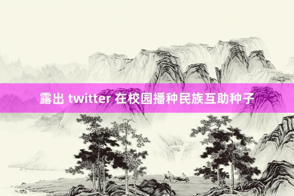 露出 twitter 在校园播种民族互助种子